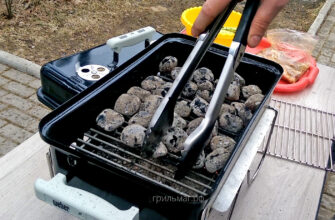 Weber Go-Anywhere Gas